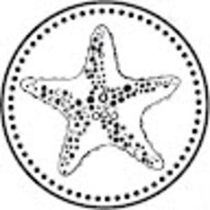 Meet your Posher, Jo